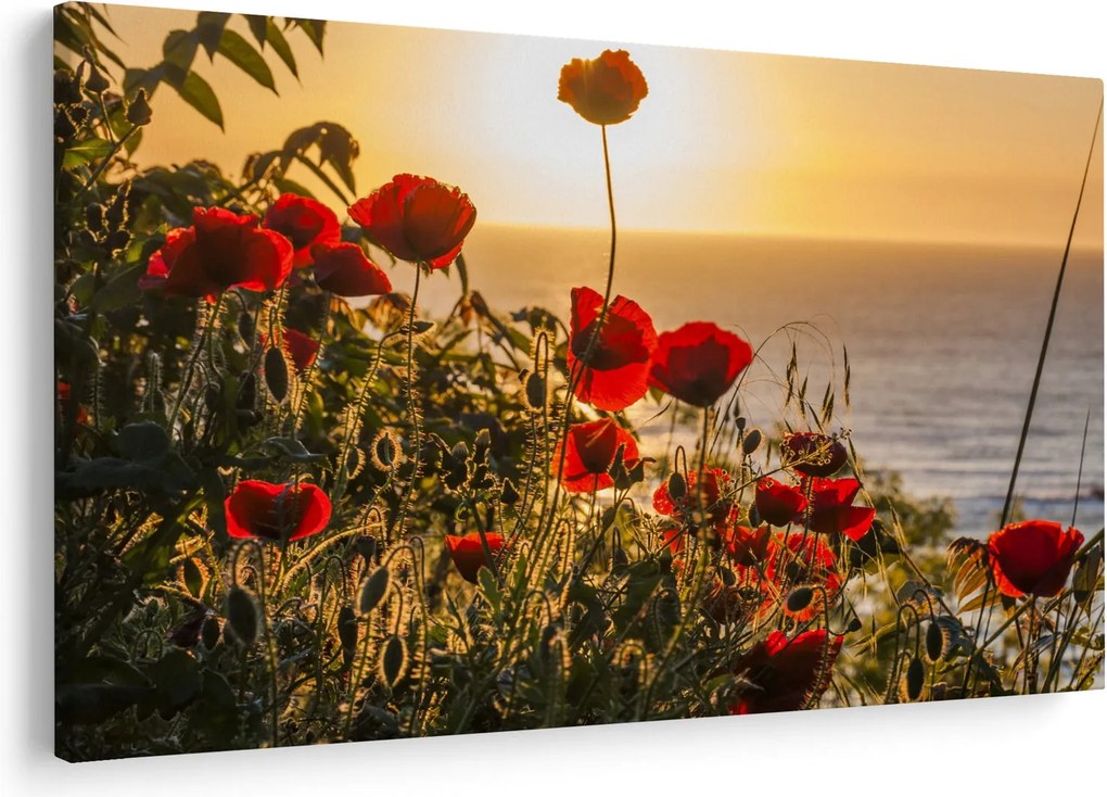 Tablou cu apus de soare cu flori de maci (90x60 cm)