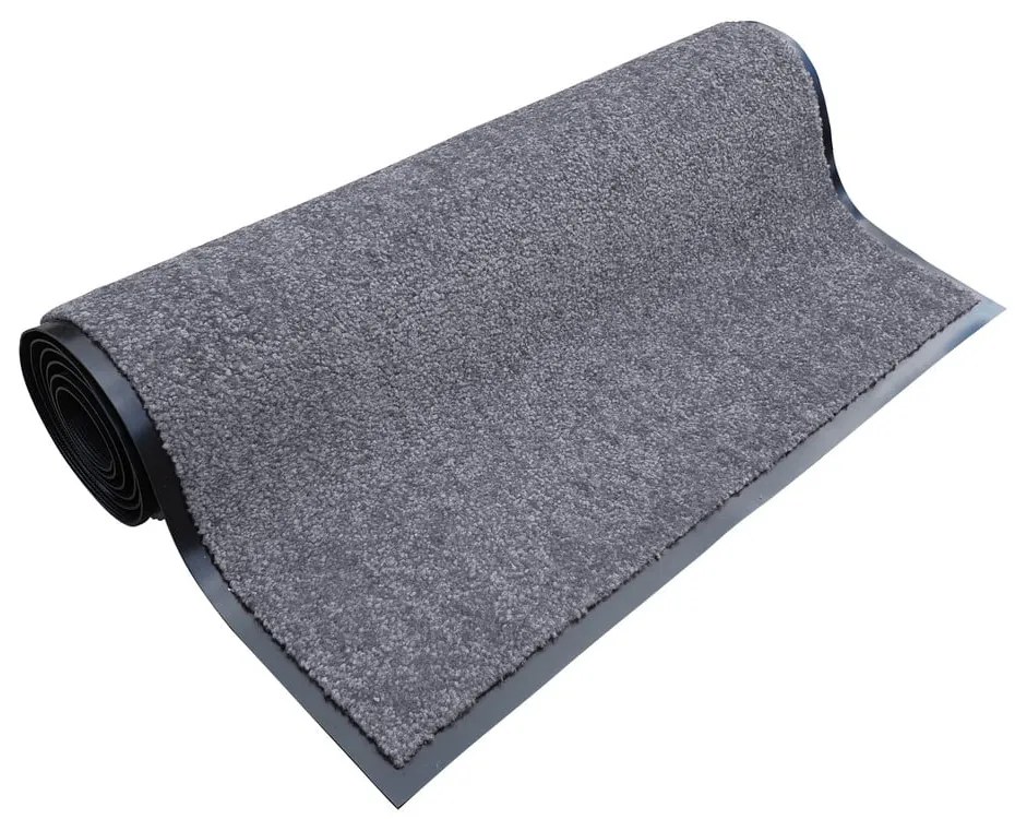 Covoraș de intrare 60x40 cm Wash and Clean - Hanse Home