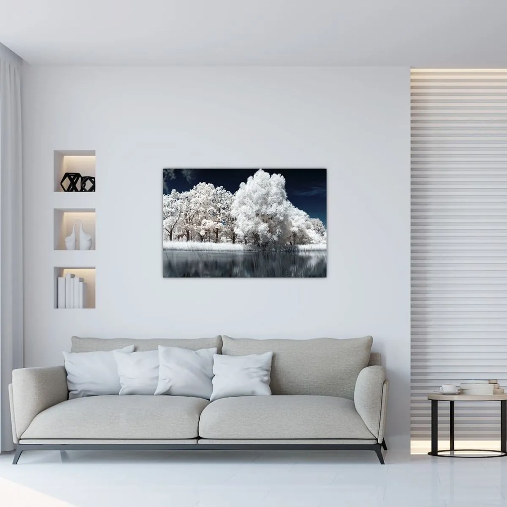 Tablou - Albă ca Zăpada Albă ca Zăpada Copaci (90x60 cm)