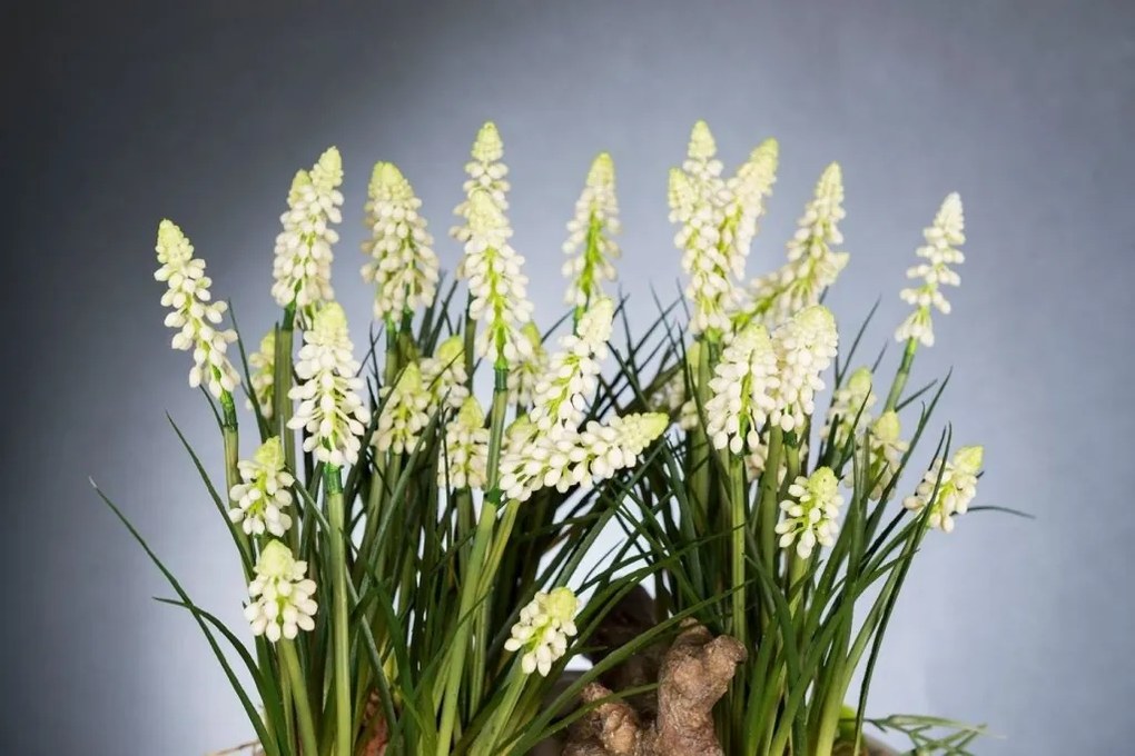 Aranjament floral design LUX MUSCARI, 30x60cm