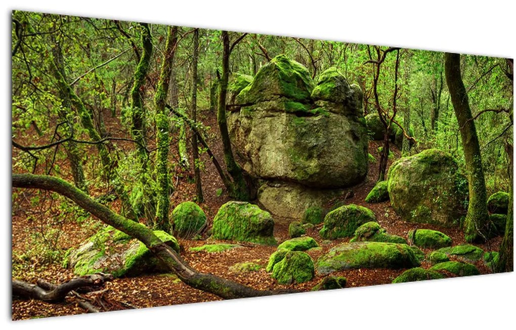 Tablou cu pădurea fermecată (120x50 cm)