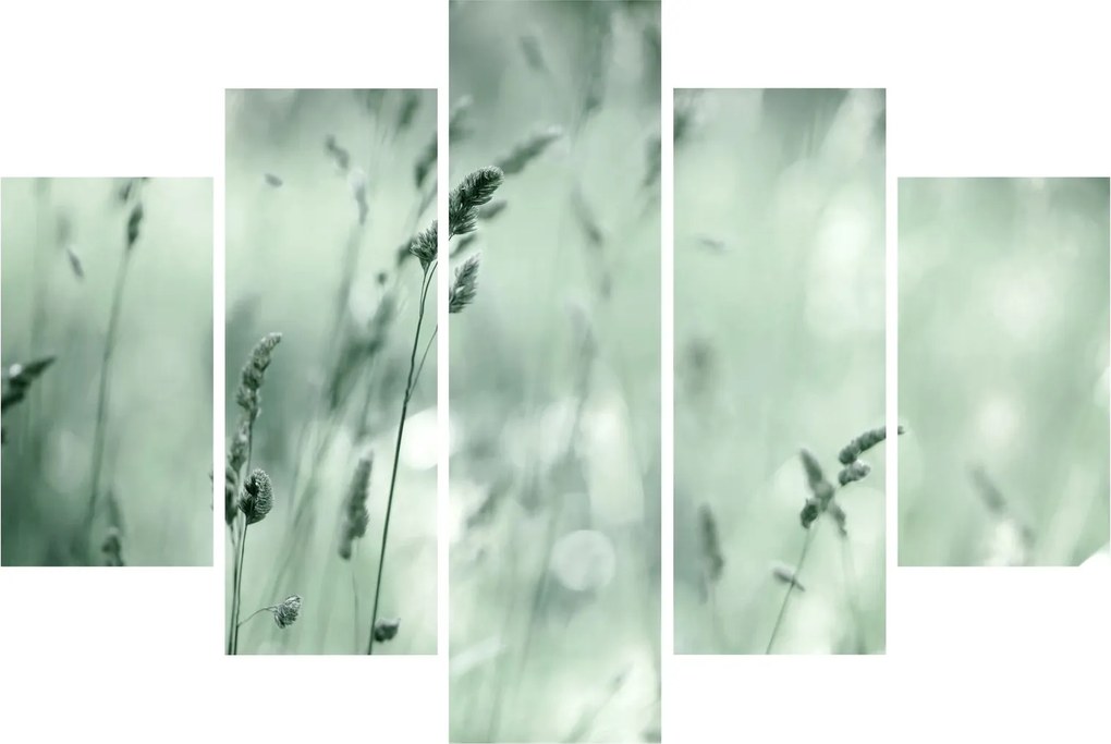Tablou - Pajiște verde (150x105 cm)