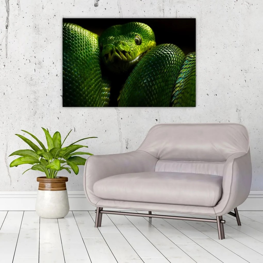 Tablou - Șarpele verde (90x60 cm)