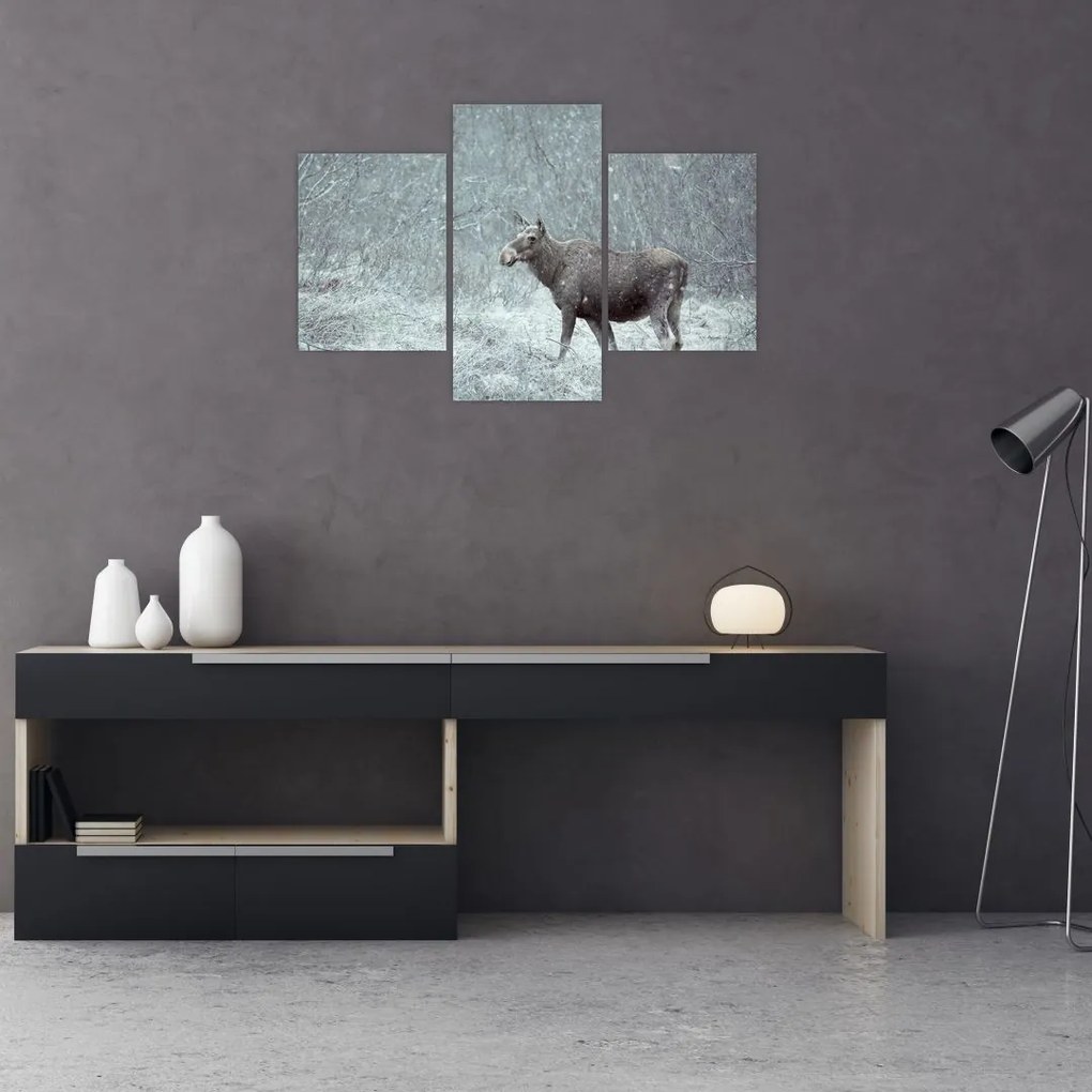 Tablou - Elan într-o pădure înzăpezită (90x60 cm)