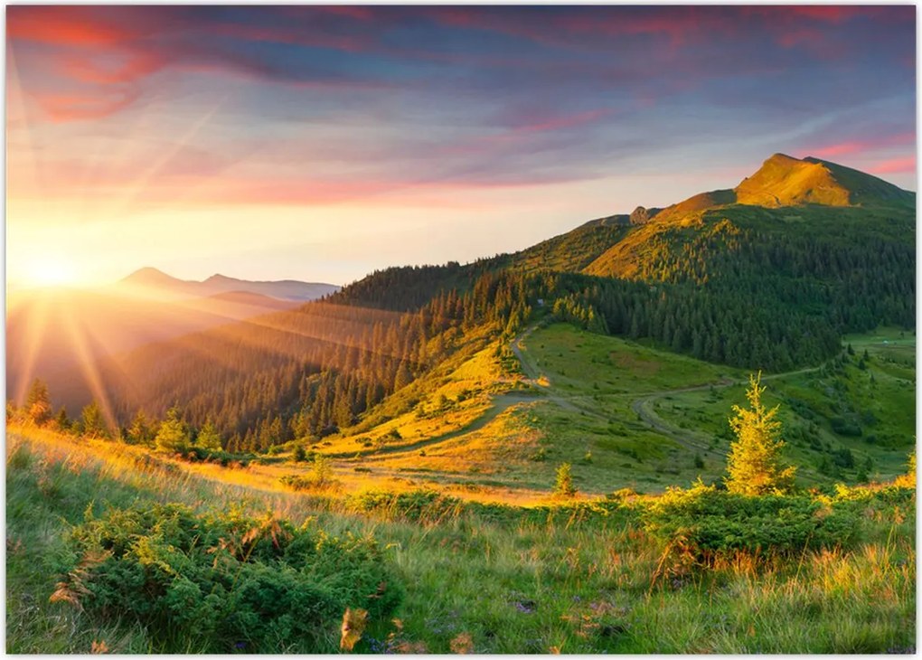 Tablou - Peisaj de vară (70x50 cm)
