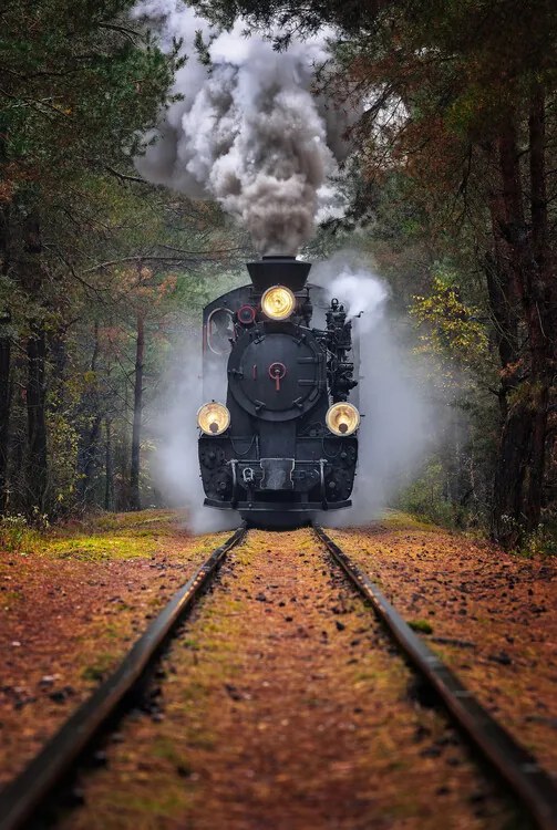 Fotografie Through the autumn forest, Rafal R. Nebelski