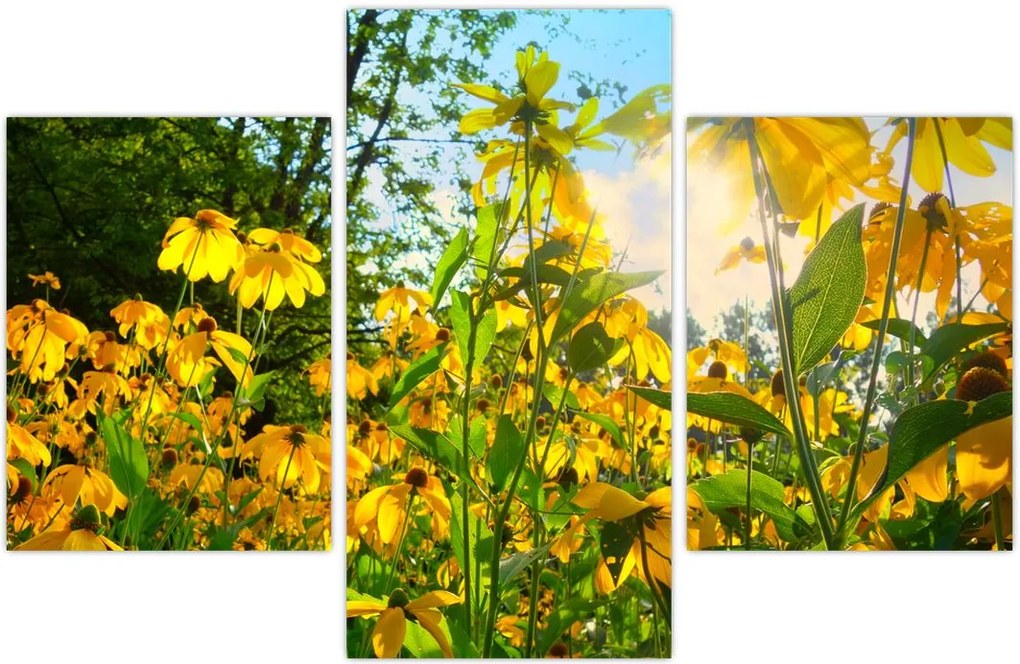 Tablou - Flori galbene (90x60 cm)