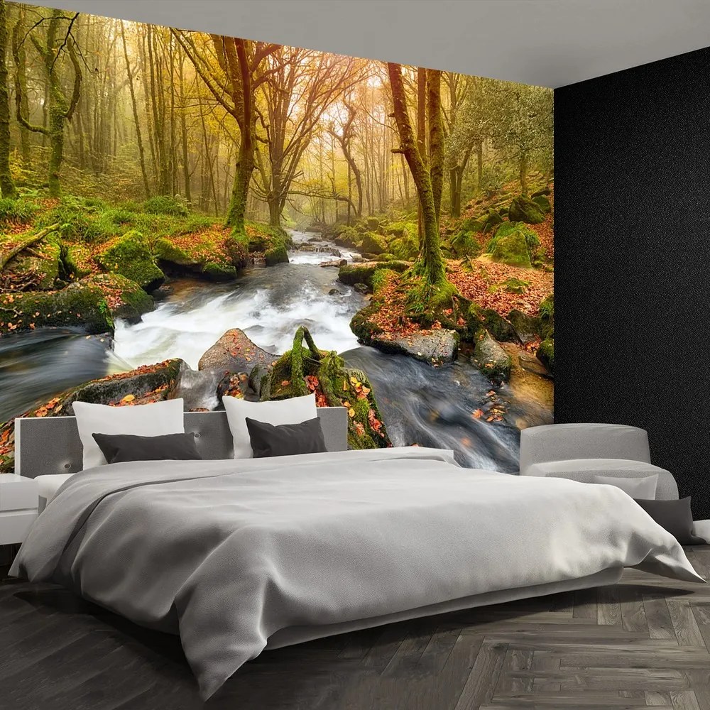Fototapet River Forest
