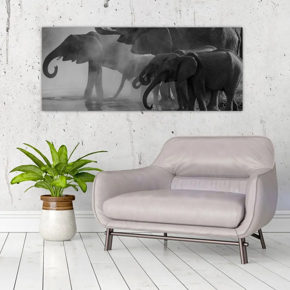 Tablou cu elefanți - albnegru (120x50 cm), în 40 de alte dimensiuni noi