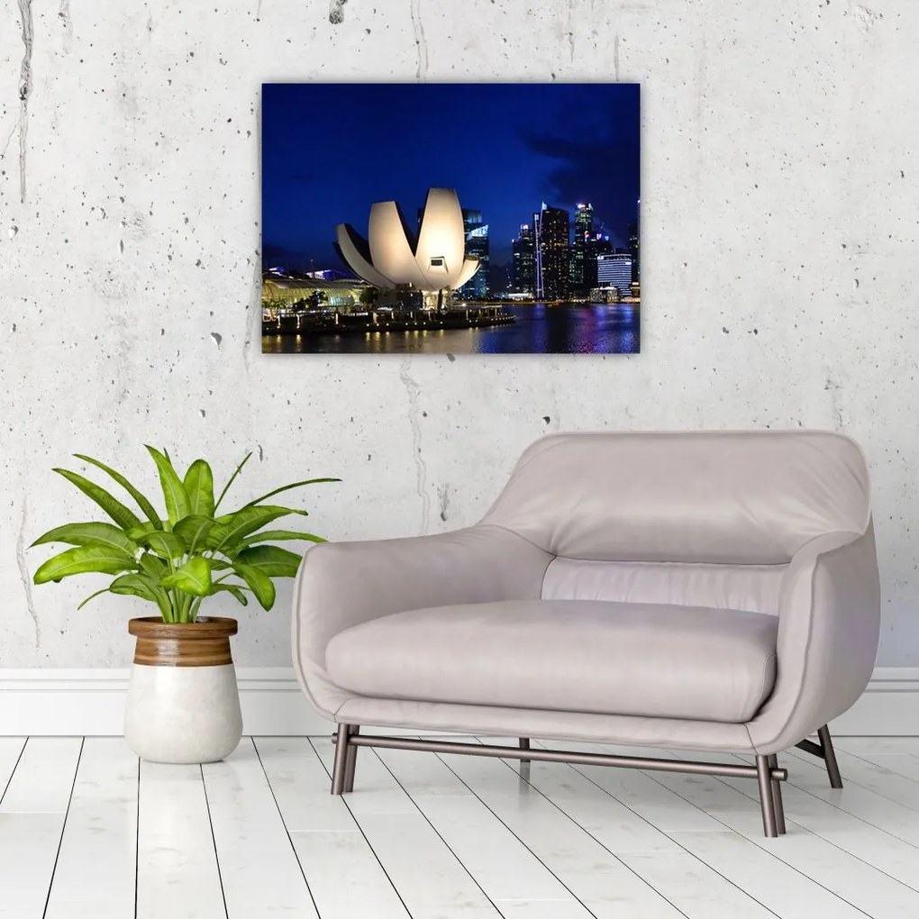 Tablou pe sticlă Singapore nocturn (70x50 cm)