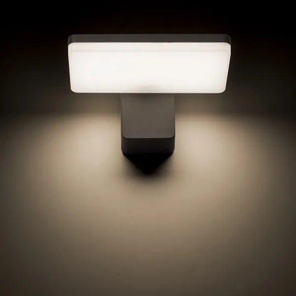 Aplică LED de exterior RINA LED/12W/230V IP65 RED-Design Rendl-R11947