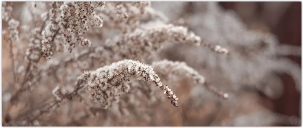 Tablou cu plante (120x50 cm)