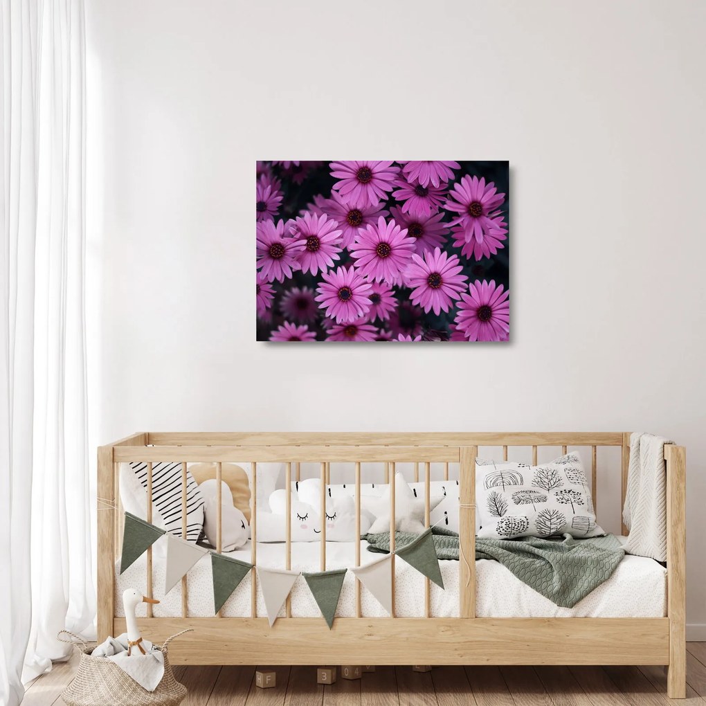 Tablou pe sticlă cu florile roz (70x50 cm)