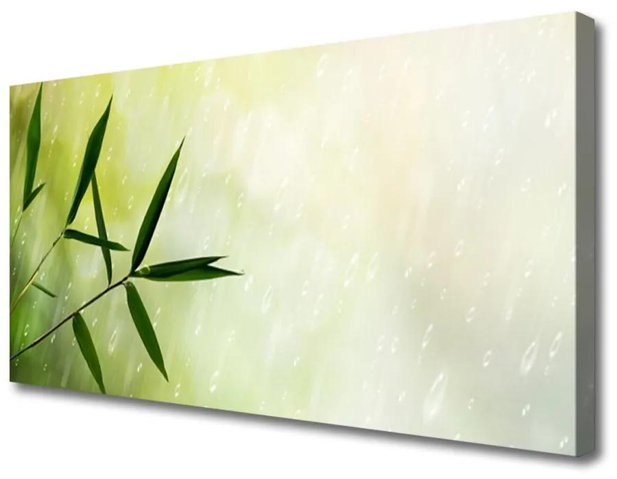 Tablou pe panza canvas Frunze de ploaie Floral Verde