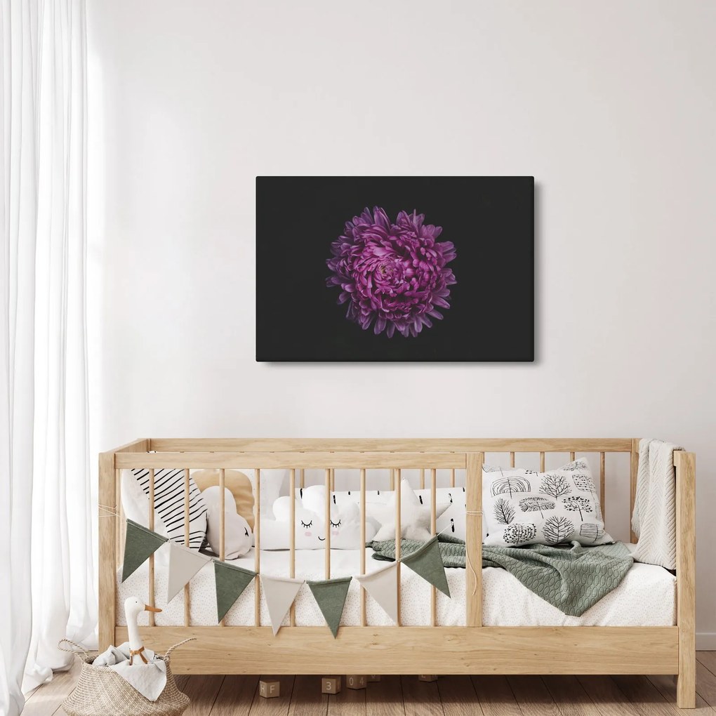 Tablou cu floare violetă (90x60 cm)