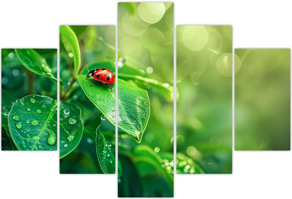 Tablou - Buburuza (150x105 cm)