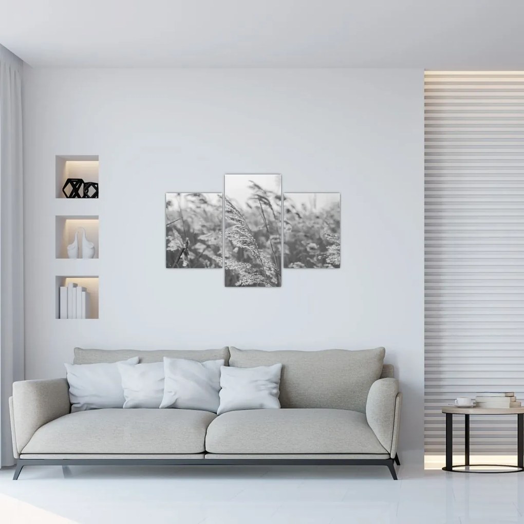 Tablou - Iarba în vânt (90x60 cm)