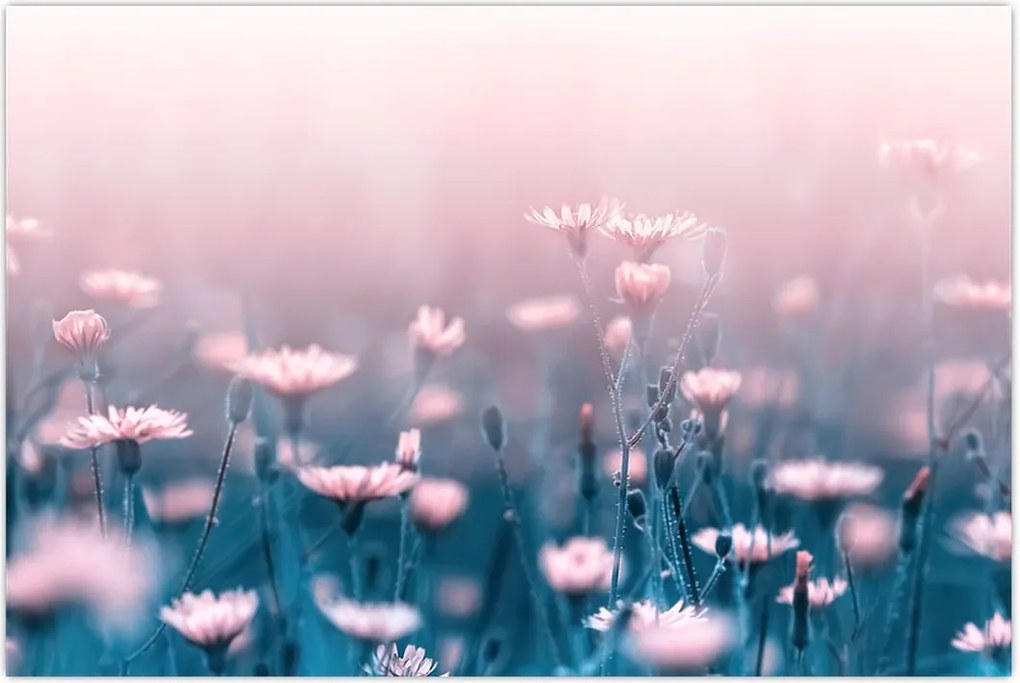 Tablou - Plante din pădure (90x60 cm)