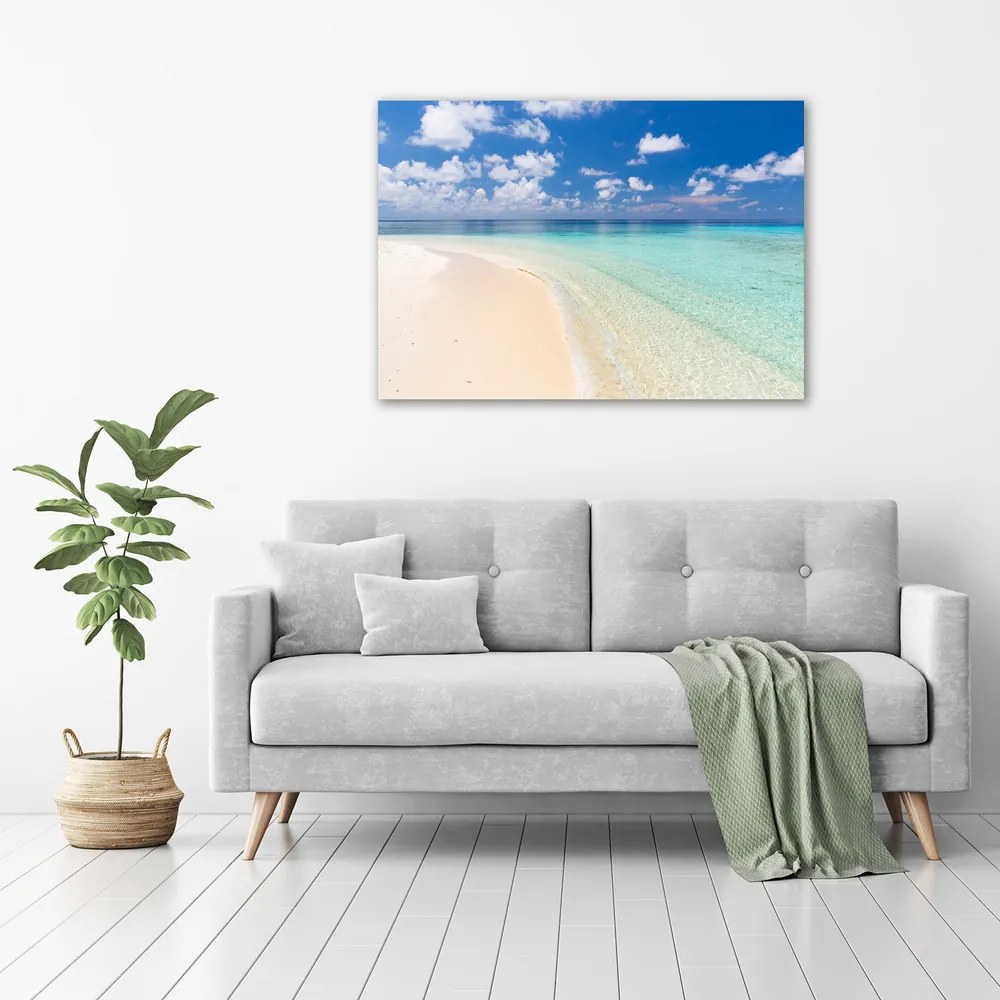 Tablou canvas Plajă în maldive
