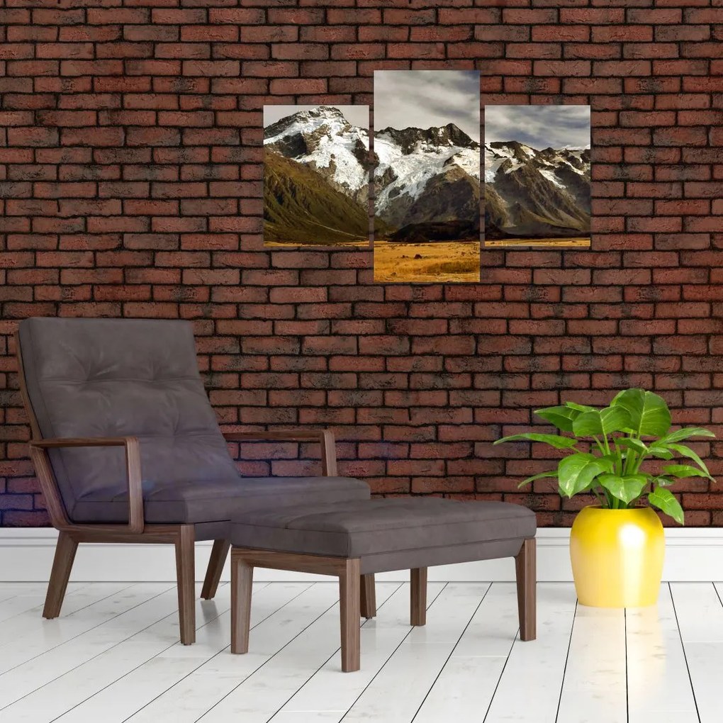 Tablou cu mutele Sefton, Noua Zeealnda (90x60 cm)