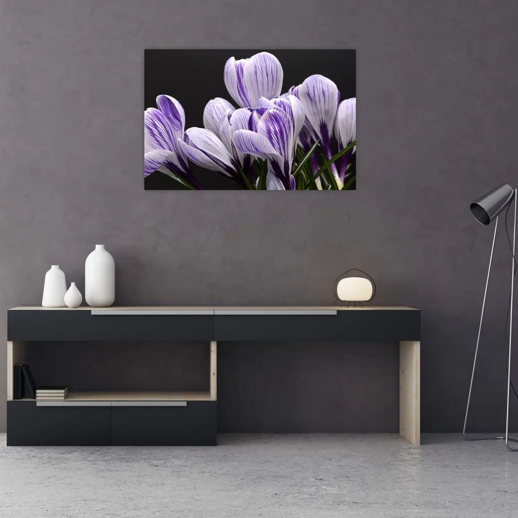 Tablou - Crocus violet (90x60 cm)