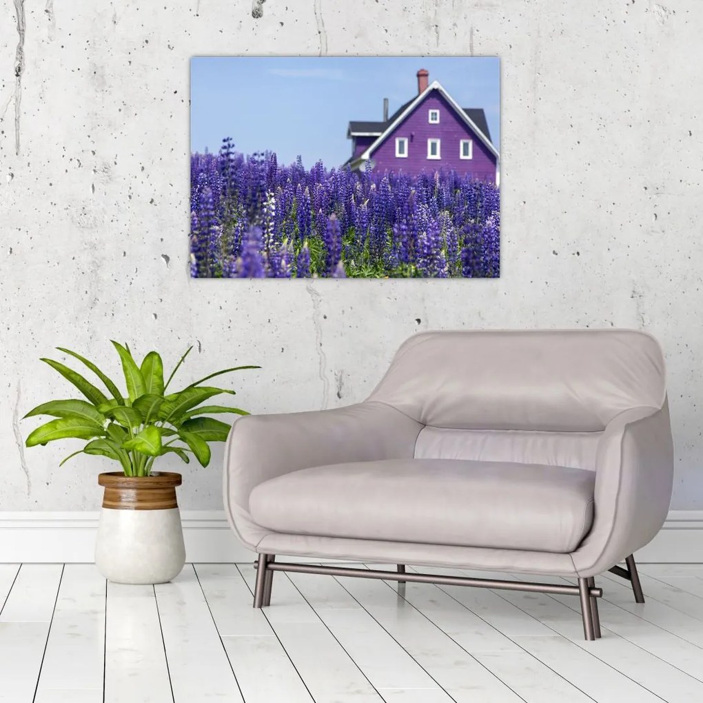 Tablou pe sticlă cu câmp de lavanda (70x50 cm)