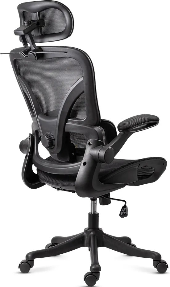 Scaun de birou ergonomic din mesh cu brațe rabatabile OFF 440 negru
