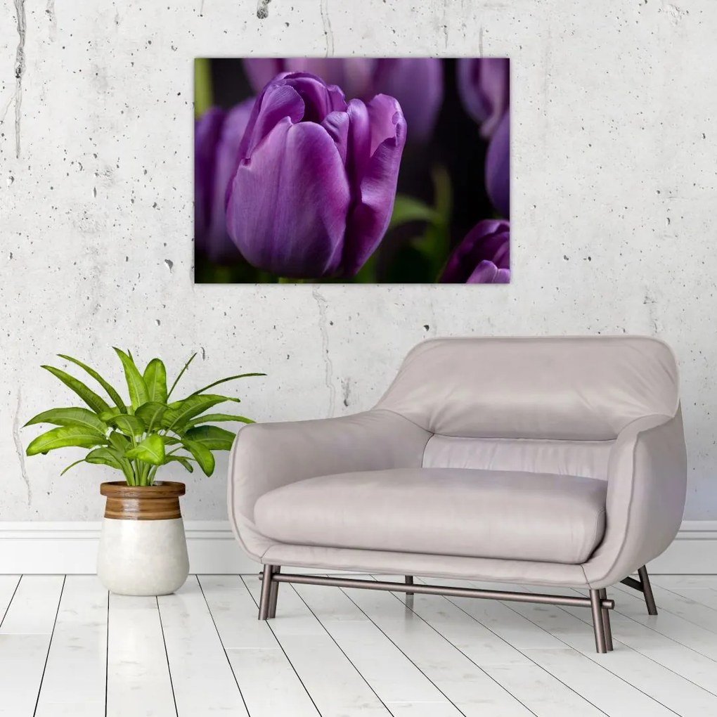 Tablou cu flori de lalele (70x50 cm)