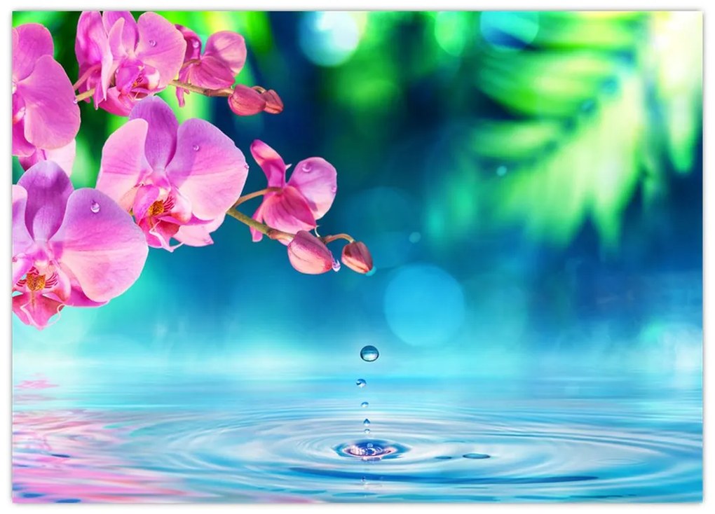 Tablou pe sticlă - Orhidee (70x50 cm)