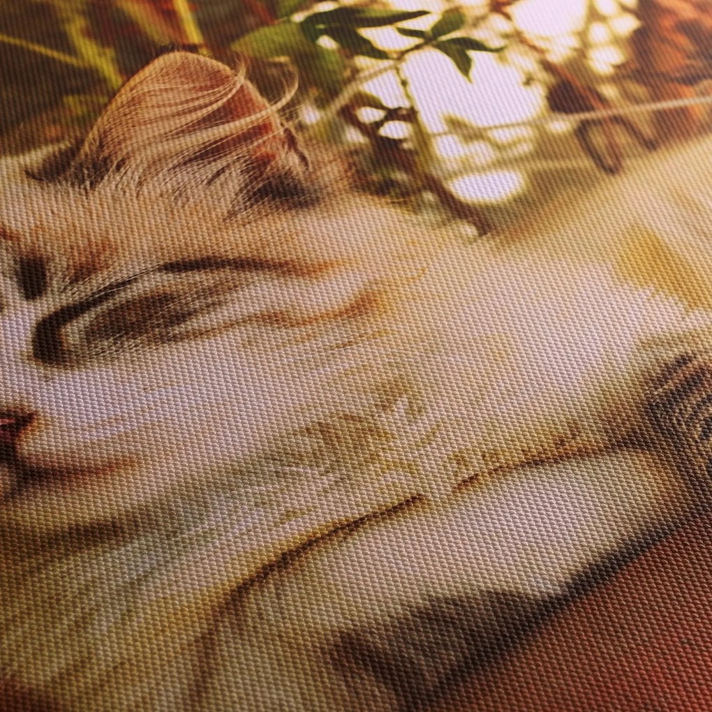 Tablou cu pisica în ghiveci (120x50 cm)