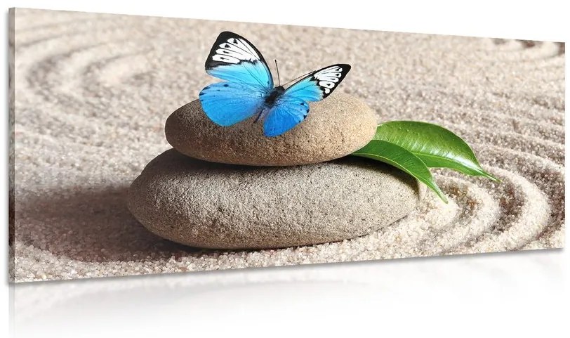 Tablou fluture albastru pe piatră Zen