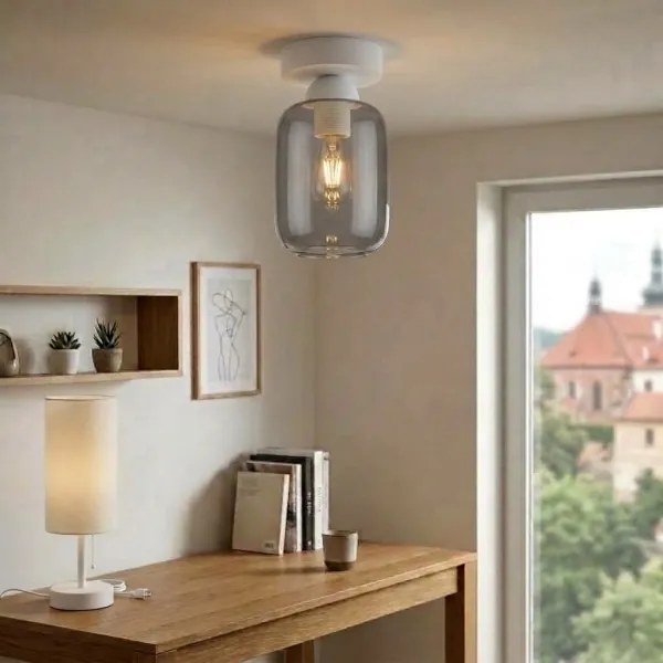 BRILAGI - Lampă LED de tavan R GLASS 1xE27/60W/230V Ø 14 cm alb/gri fumuriu