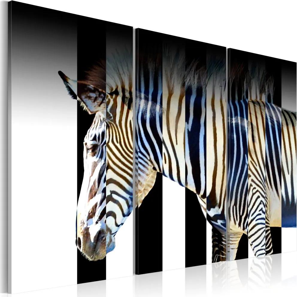 Tablou Bimago - Stripes 60x40 cm
