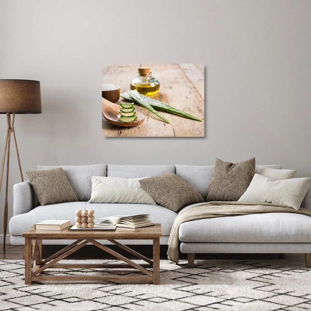 Tablou pe sticlă - Aloe vera (70x50 cm)