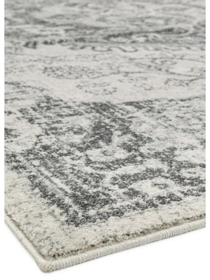 Covor gri/crem 120x170 cm Nova – Asiatic Carpets