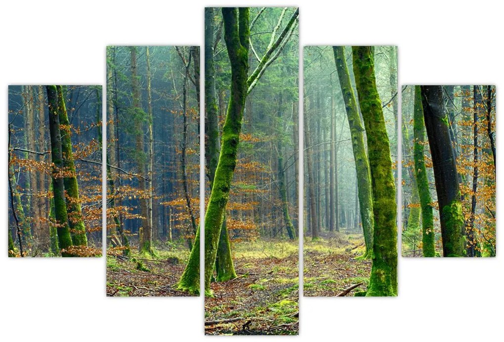Tablou cu pădure (150x105 cm)