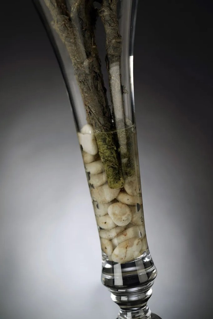 Aranjament floral elegant din bujori albi, BOWL ETERNITY PEONY 1141338.95