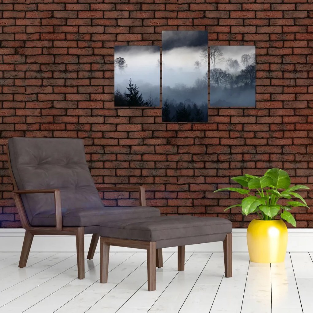 Tablou cu ceță deasupra pădurii (90x60 cm)