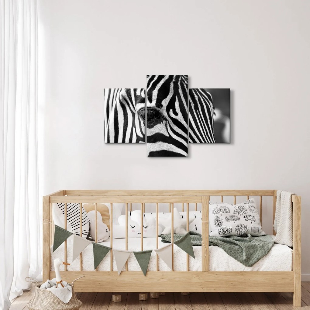 Tablou cu zebră (90x60 cm)