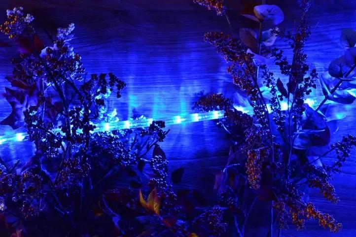 Cablu luminos LED - 240 becuri, 10 m, albastru