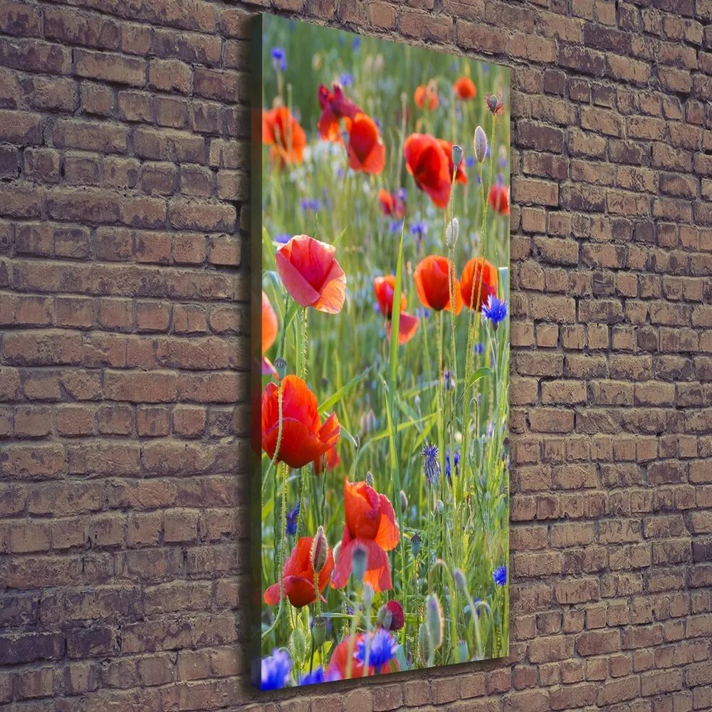 Tablou pe pânză Wildflowers maci