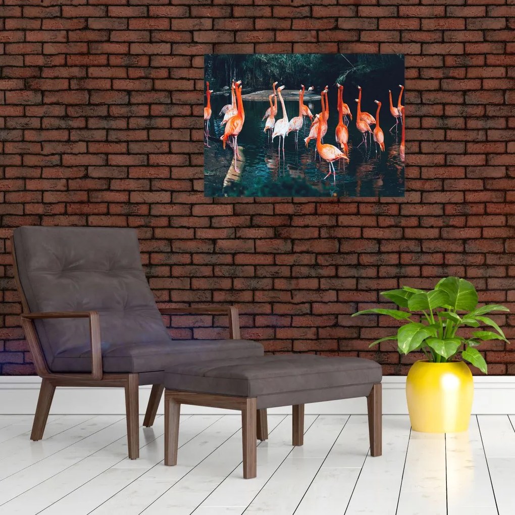 Tablou - turmă de flamingo (70x50 cm)