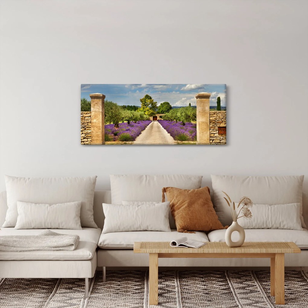 Tablou - Căi de lavandă (120x50 cm)