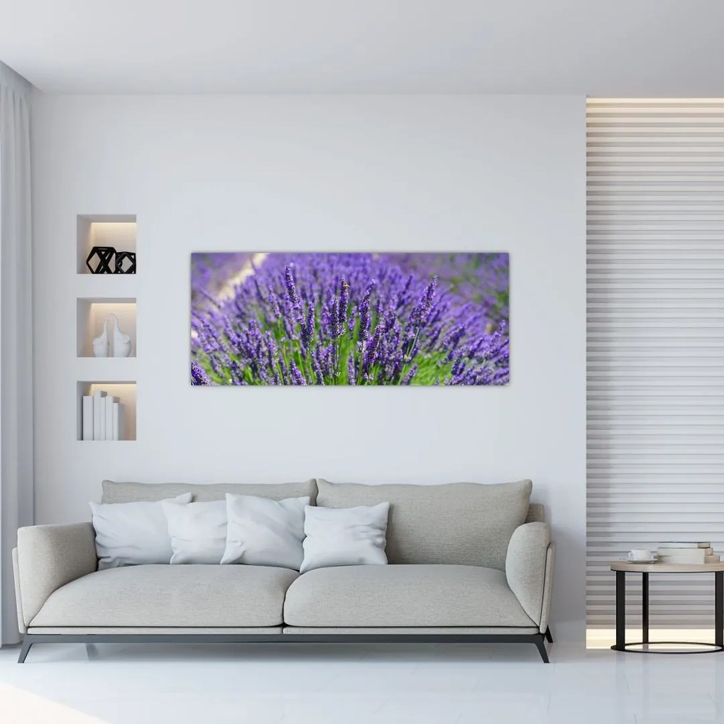 Tablou - lavanda (120x50 cm)