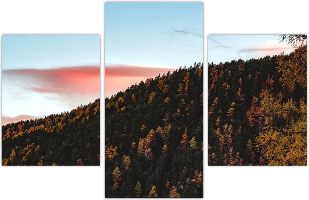 Tablou - Zori de zi (90x60 cm)