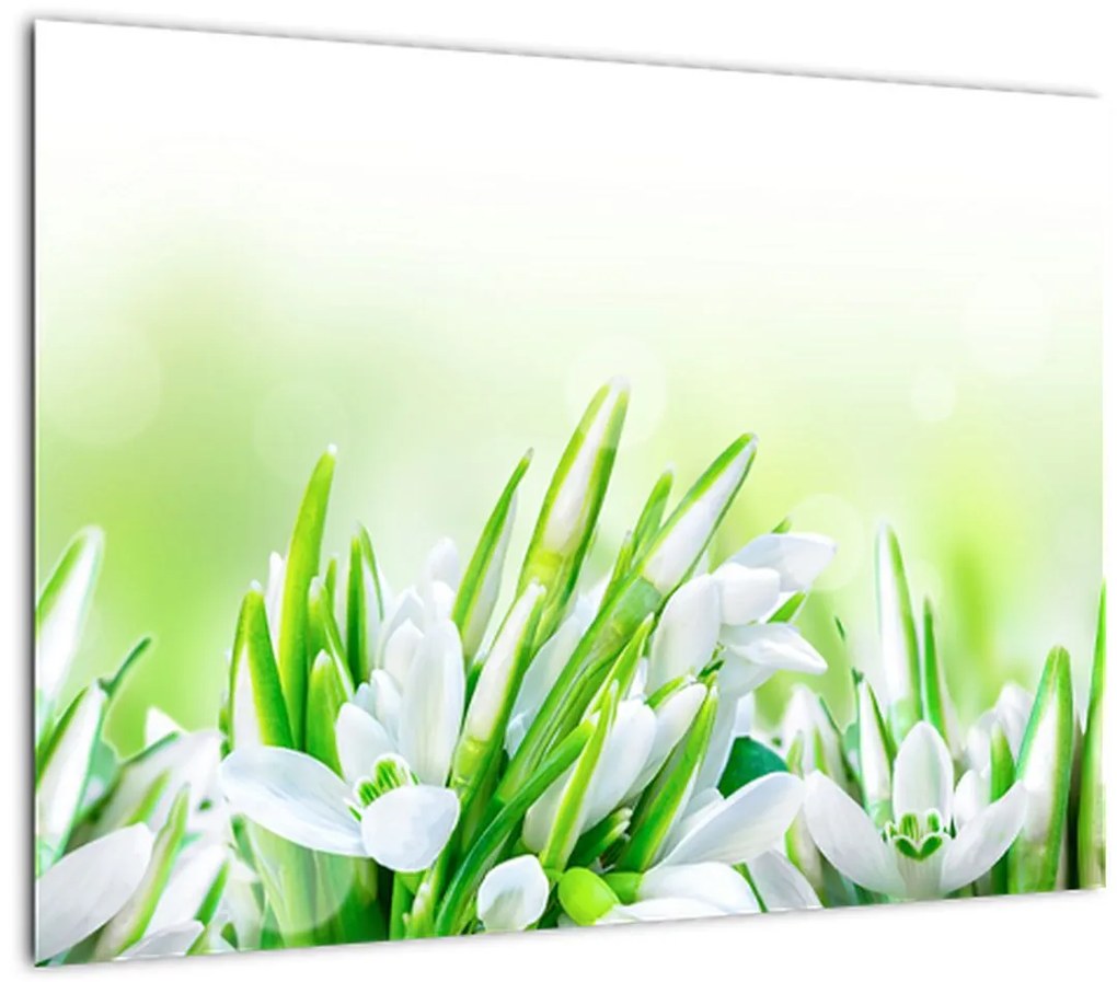 Tablou pe sticlă - Ghiocei (70x50 cm)