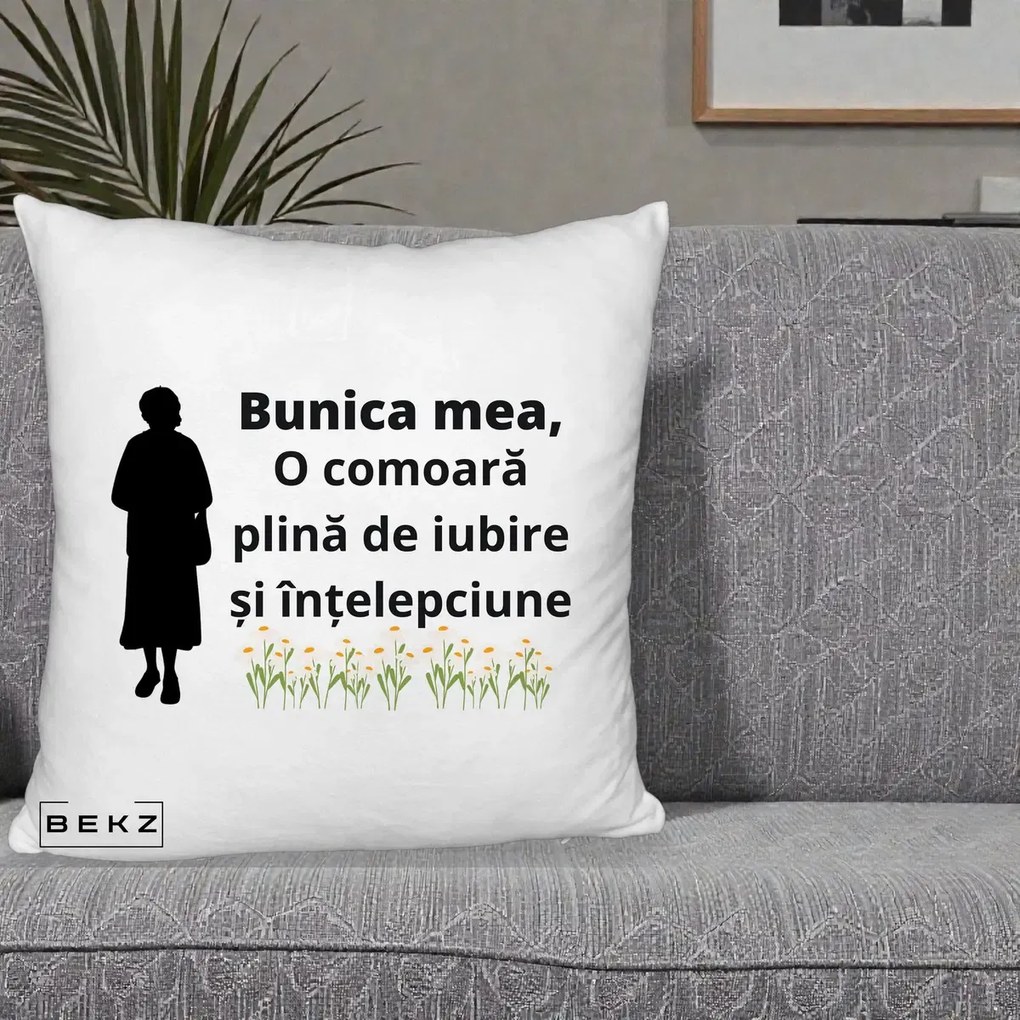Cadou pentru Bunica - Perna Personalizata Bunica Mea Comoara Iubire Intelepciune Silueta cu Nepoata, 40x40 cm, Alb Pufos, Husa Detasabila, Perna Inclusa, BEKZ®