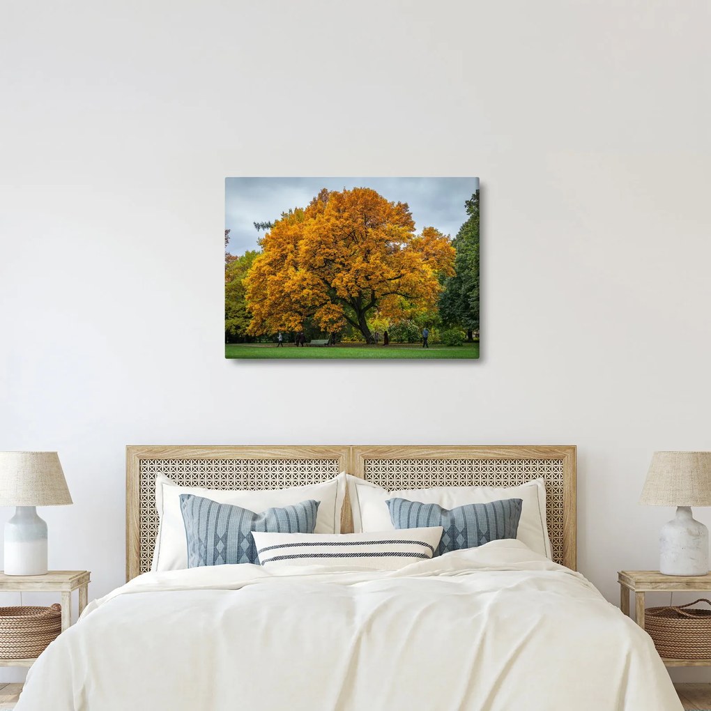 Tablou cu copac (70x50 cm)