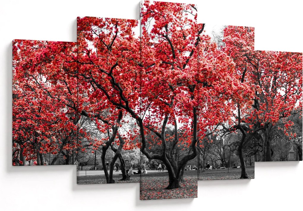 Tablou - Copacii roșii, Central Park, New York (150x105 cm)