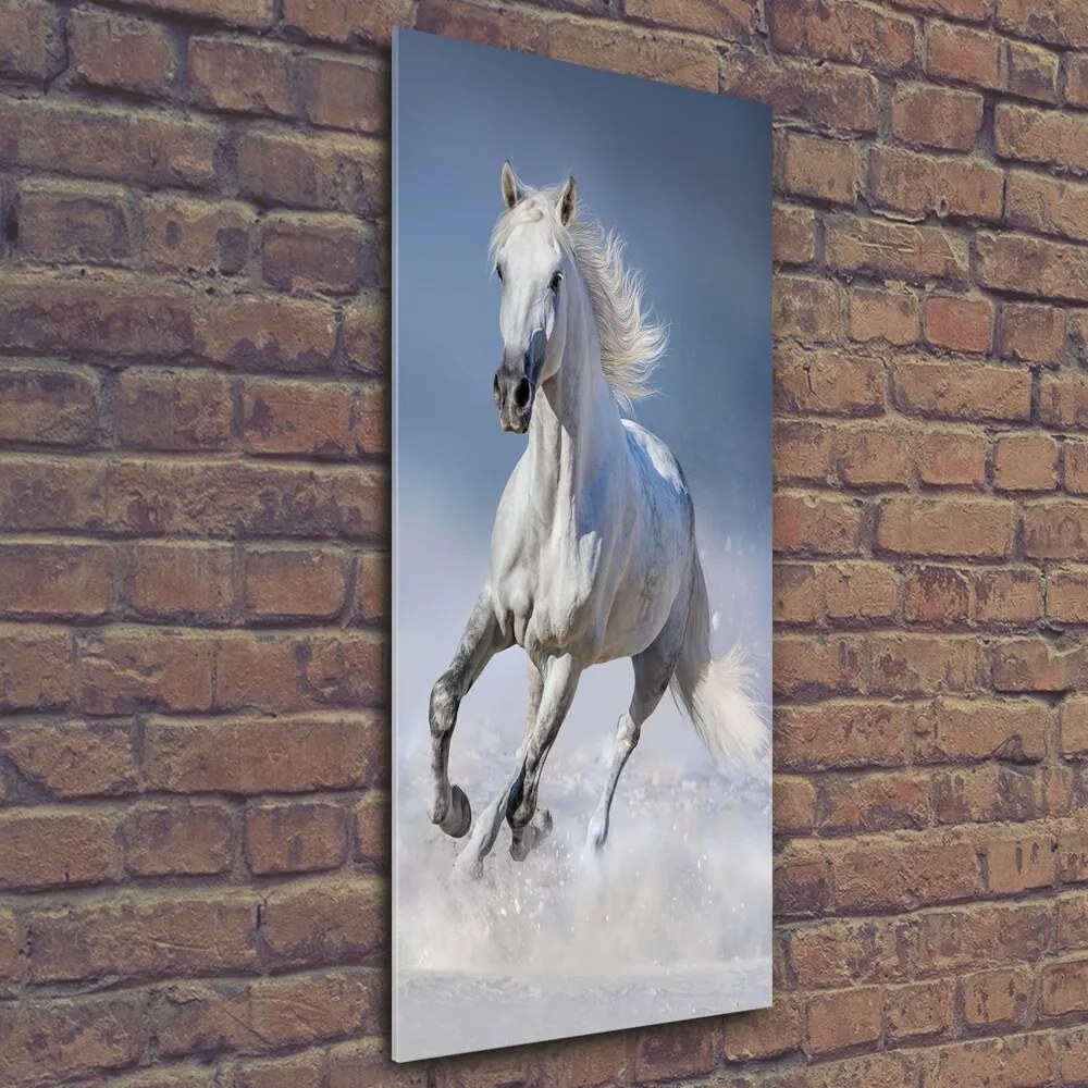 Imagine de sticlă Cal alb în galop